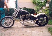 H.D. Shovel 1200